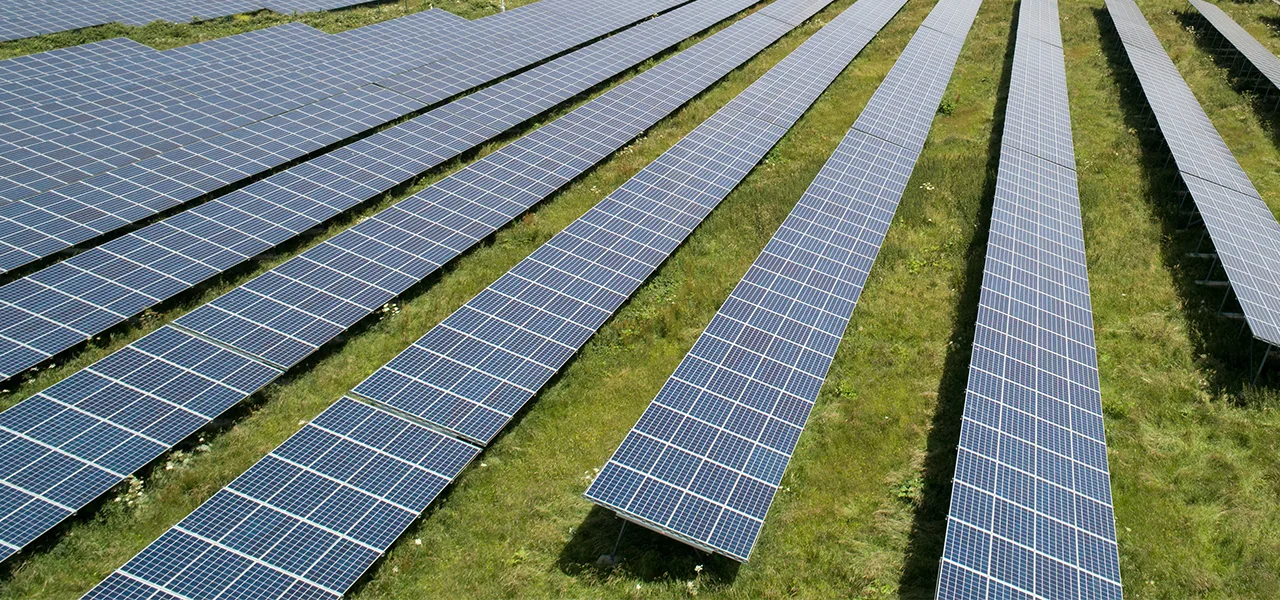 Field with rows of solar panels