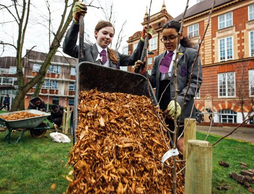 Bristol City Leap Community Energy Fund Case Study: Green Schools Project